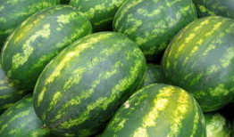 59cg10吃瓜爆料,揭秘娱乐圈最新吃瓜大事件